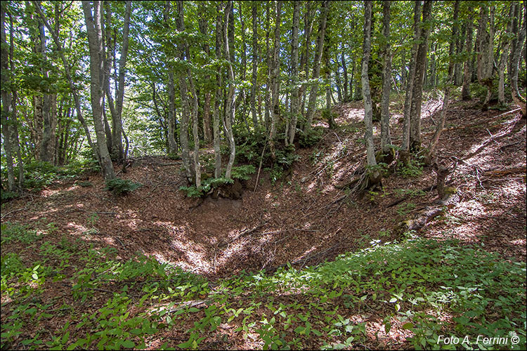 Cratere di bomba in Catenaia