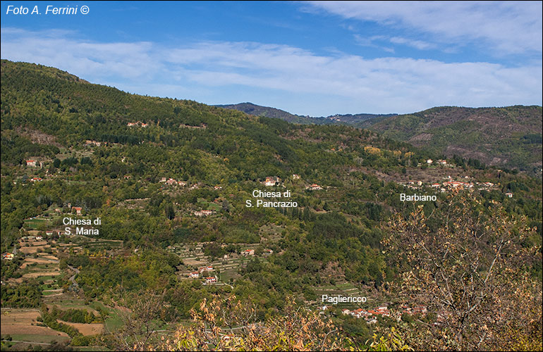 Cetica: il suo territorio