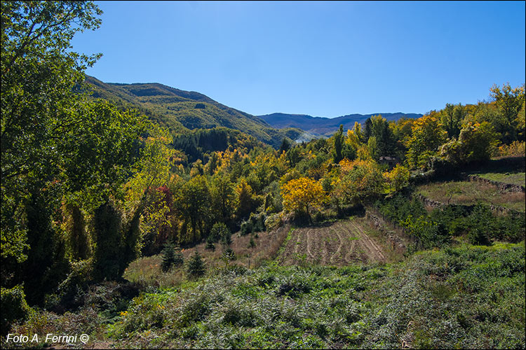 Valle del Solano