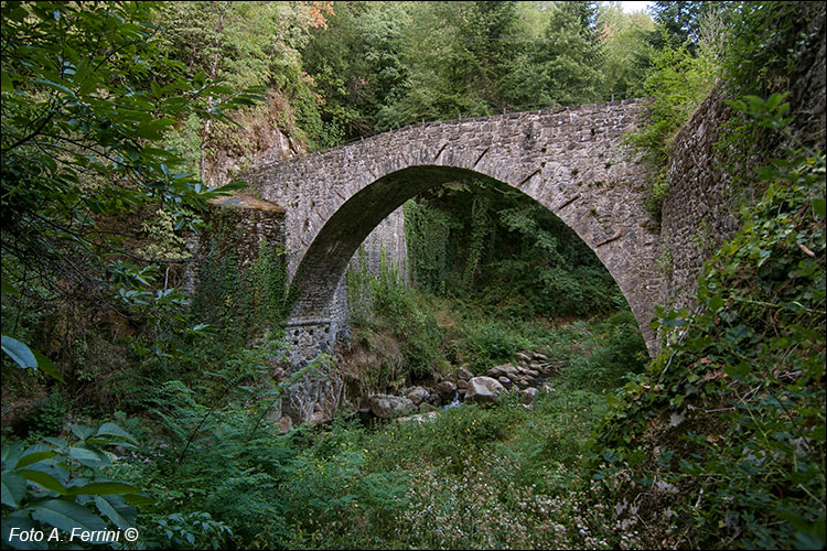 Ponti del Casentino