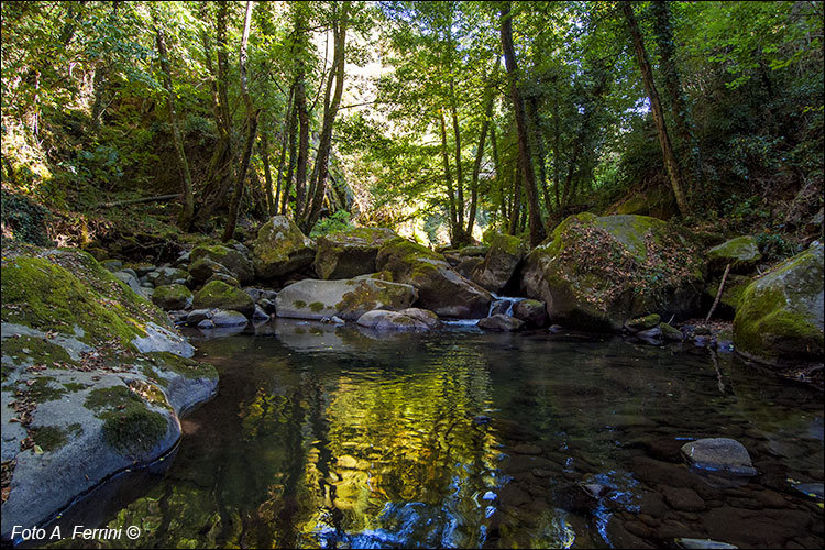 Torrente Solano