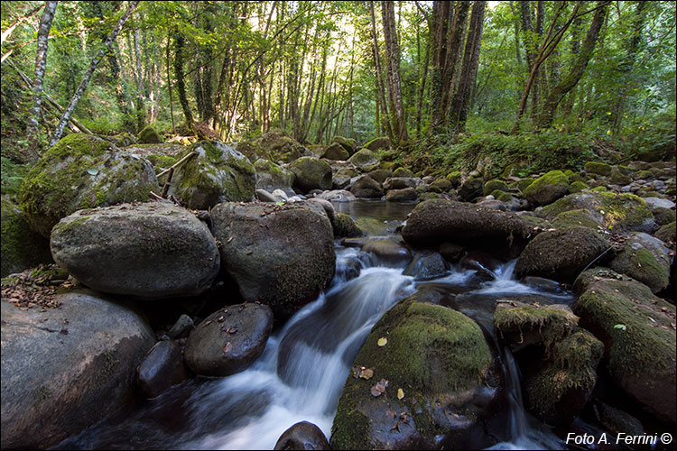 Torrente Solano