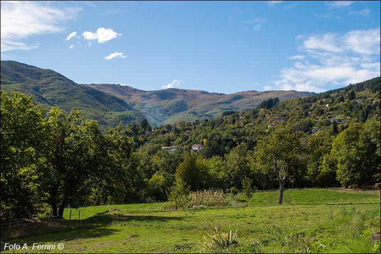 Panorama di Cetica