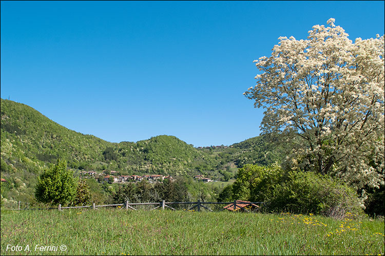 Panorama di Rosina