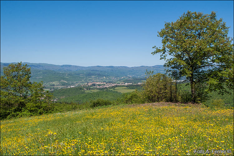 Panorama sul Casentino