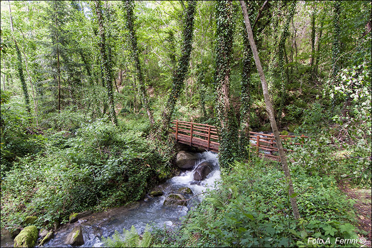 Torrente Rio, Chitignano