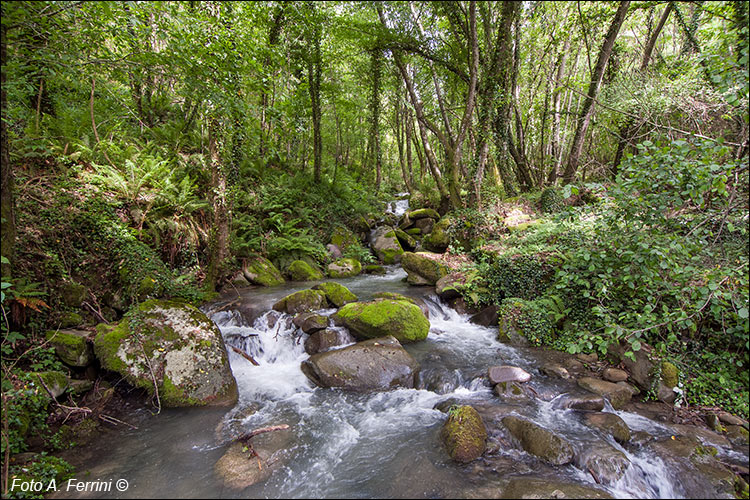 Torrente Rio, Chitignano