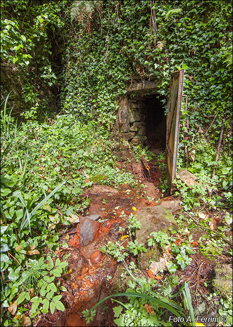 Acqua ferruginosa di Chitignano