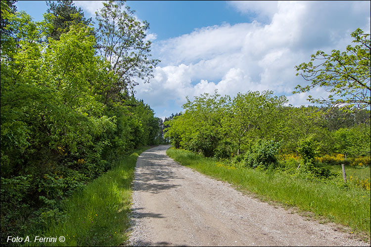 Strada carrabile verso La Casella