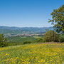 Panorama sul Casentino