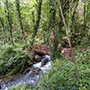 Torrente Rio, Chitignano