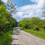 Strada carrabile verso La Casella