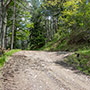 Strada forestale verso La Casella