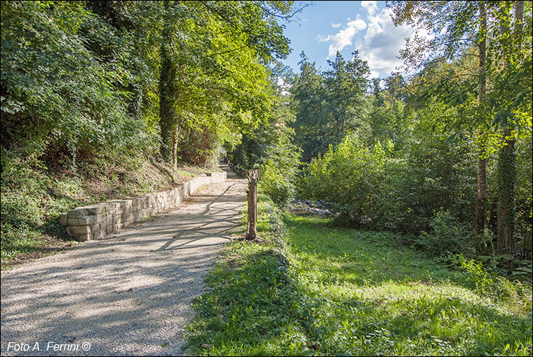 Pista ciclopedonale in Casentino