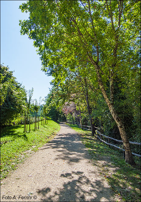 Pista ciclopedonale in Casentino