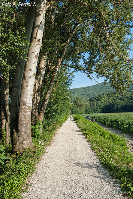 Pista ciclopedonale in Casentino