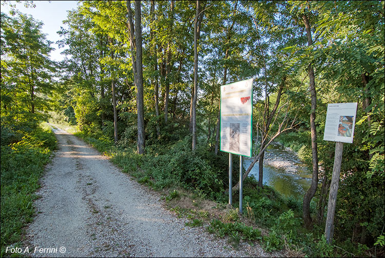 Pista ciclopedonale in Casentino