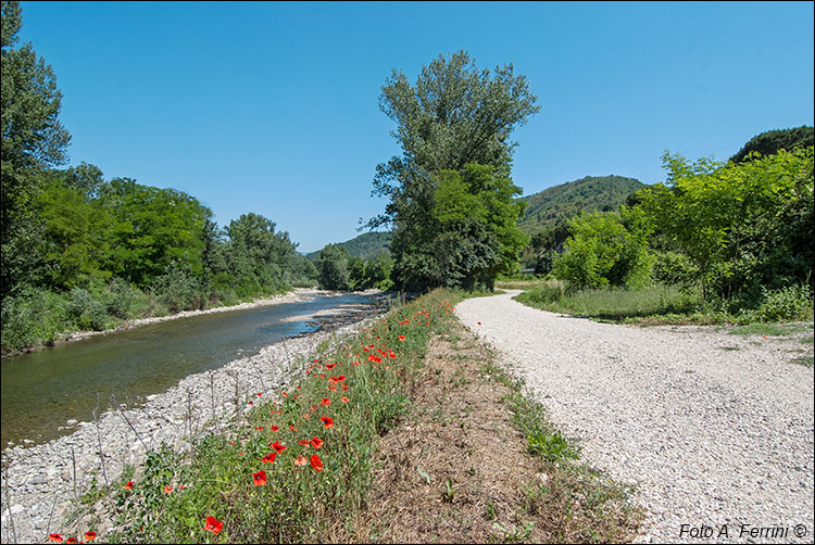 Pista ciclopedonale in Casentino