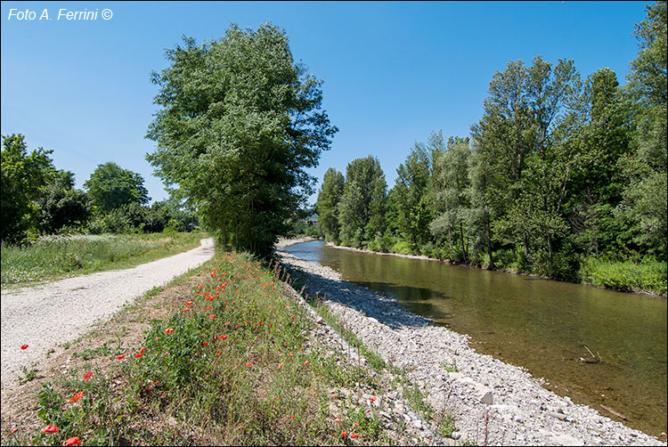 Pista ciclopedonale in Casentino