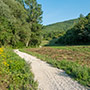 Pista ciclopedonale in Casentino