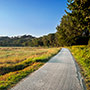 Pista ciclopedonale in Casentino