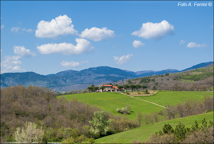 La Collina delle Stelle