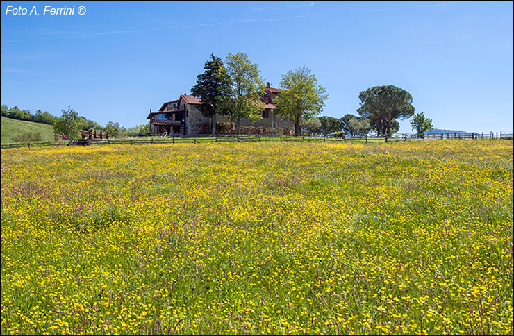 La Collina delle Stelle