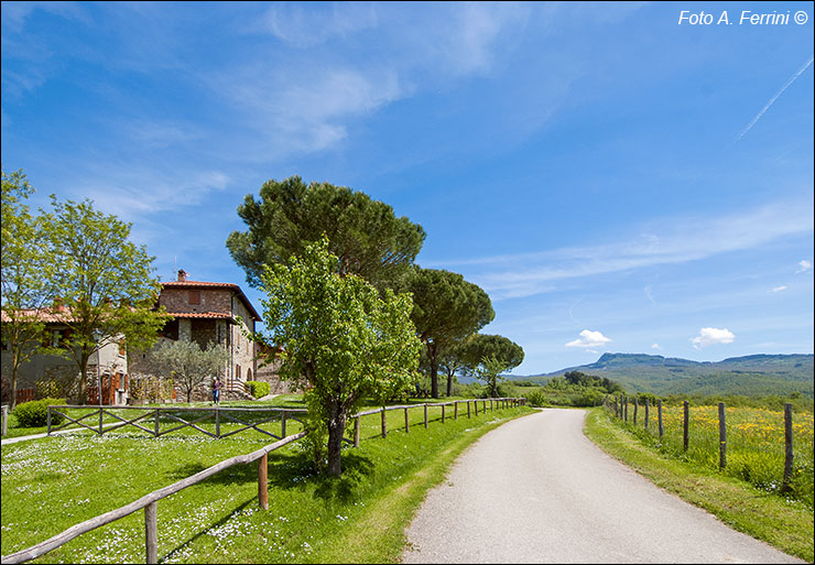 La Collina delle Stelle