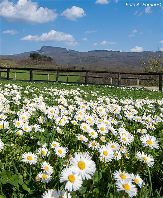 La Collina delle Stelle