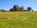 La Collina delle Stelle