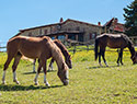 La Collina delle Stelle