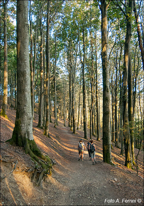 Trekking nel Parco