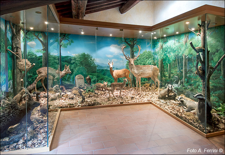 Badia Prataglia, il museo forestale