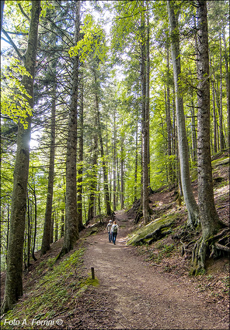 Percorso del Monte Penna