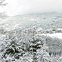 Moggiona, panorama invernale