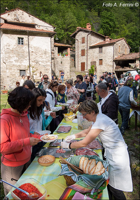 Molin di Bucchio