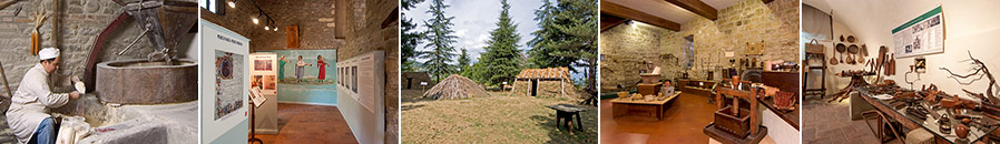 Ecomuseo Casentino