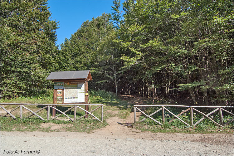 Passo di Piancancelli