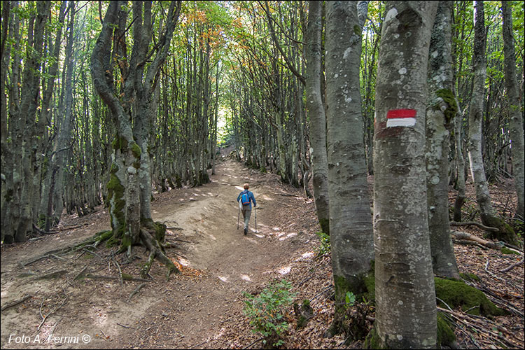 Pista del Lupo