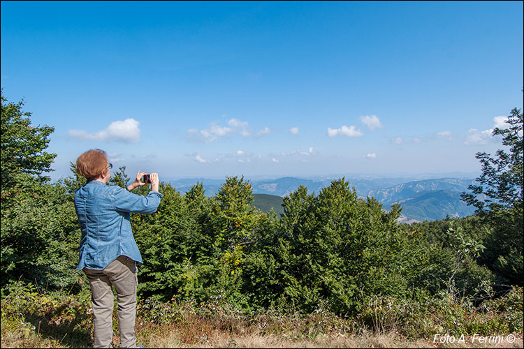 Monte Falco, panorama sulla Romagna