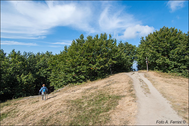 GEA 00 su Monte Falco