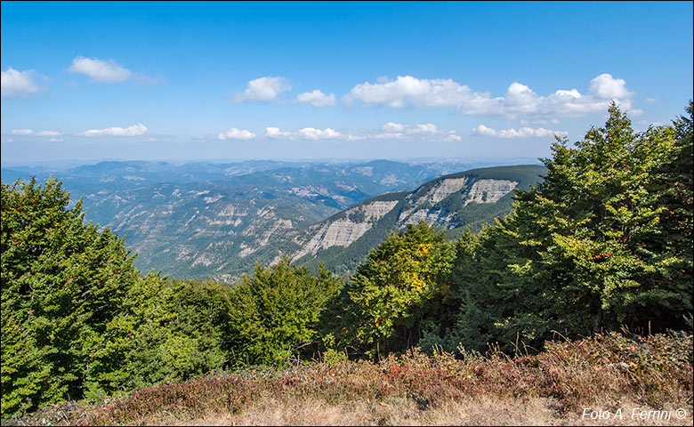 Panorama dal Falterona