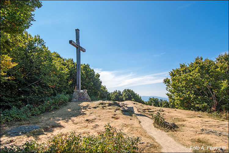 Monte Falterona