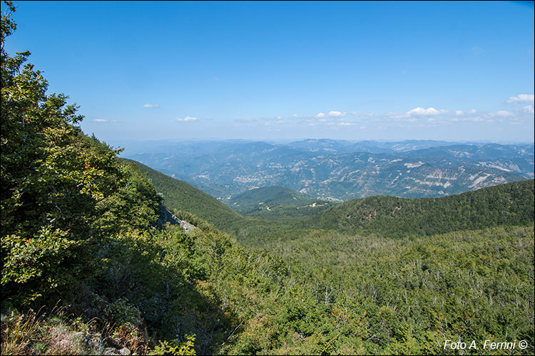 Pendici nord del Falterona