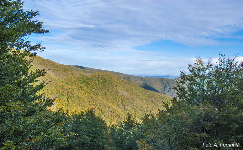 Panorami dal CT 4