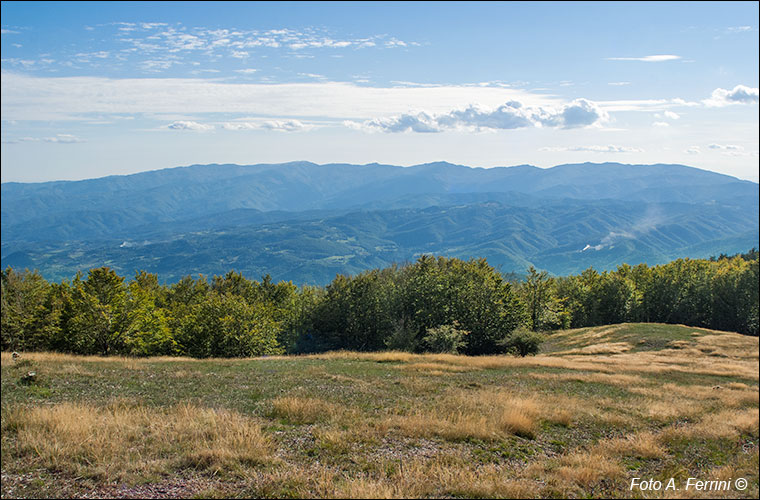 Vista sul Pratomagno