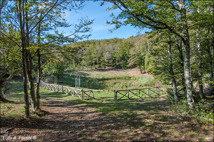 Lago degli Idoli, Falterona