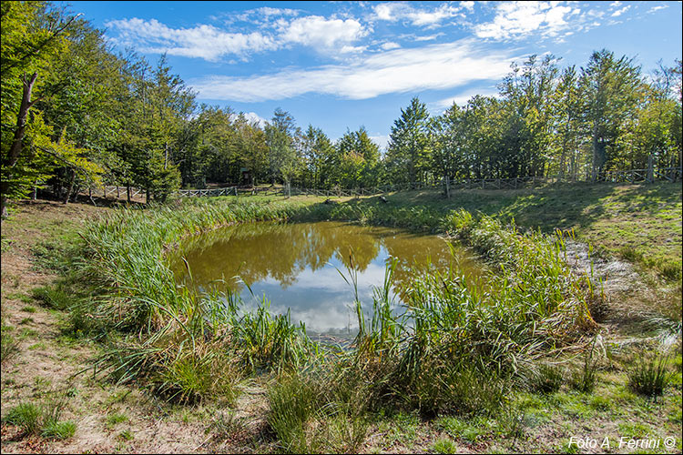 Lago degli Idoli