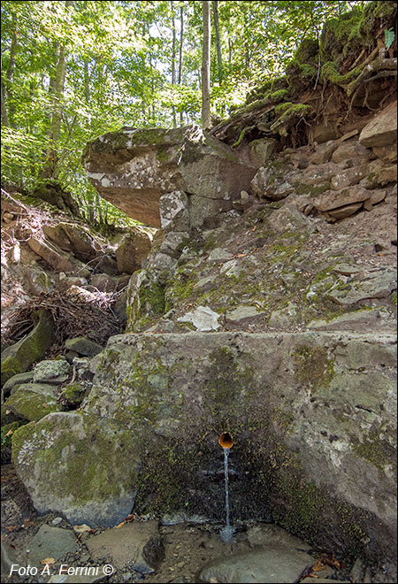 Fonte del Borbotto 