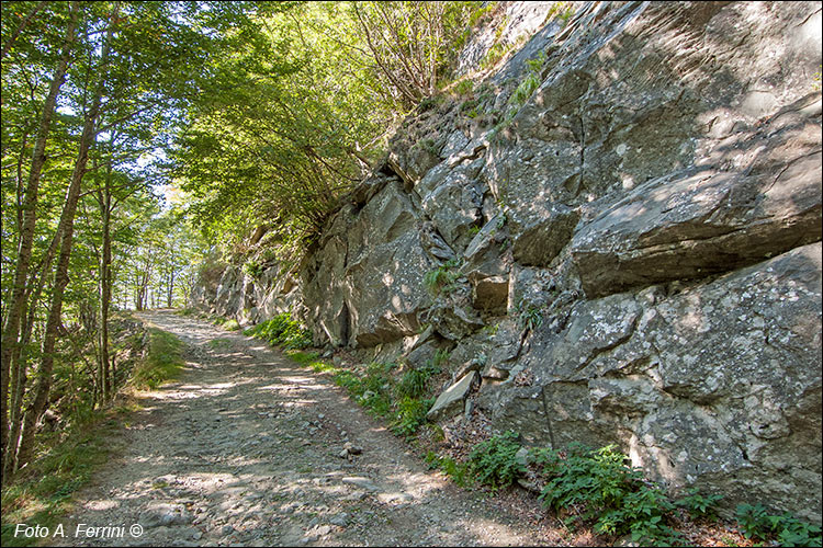 Pendici scogliose del Monte Falco